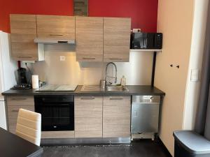 a small kitchen with wooden cabinets and a sink at Charmant appartement avec jardin in Nancy