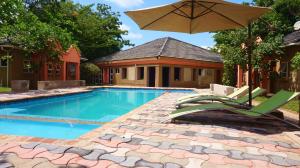 - Piscina con silla y sombrilla en Tasha Lodge & Tours, en Livingstone