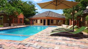 a swimming pool with a chair and an umbrella at Tasha Lodge & Tours in Livingstone