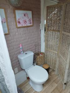 La salle de bains est pourvue de toilettes blanches et d'un mur en briques. dans l'établissement Maison d hôtes Les Notes Endormies " Suite La Mystérieuse", à Berzée