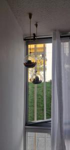 Naktsmītnes Despertar Cafetero pilsētā Dosquebradas fotogalerijas attēls