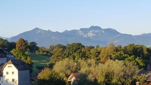 希明格Haus Mali的以群山为背景的小镇景色