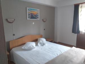 Un pat sau paturi într-o cameră la Pensiunea Madalina - LIMARA