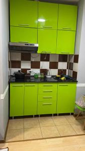 uma cozinha verde com armários verdes e um fogão em Бастау em Almaty
