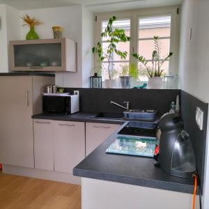 a kitchen with white cabinets and a counter top at Appartement Salamandre in Orléans
