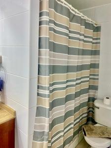 a bathroom with a shower curtain next to a toilet at Acuña & Donoso Apartamentos Centro in Santiago