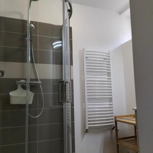 a shower with a glass door in a bathroom at Appartement Salamandre in Orléans