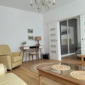 a living room with a couch and a table at Appartement Salamandre in Orléans