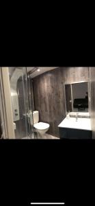 La salle de bains est pourvue d'un lavabo, de toilettes et d'un miroir. dans l'établissement Studio ensoleillé sur Montpellier, à Montpellier