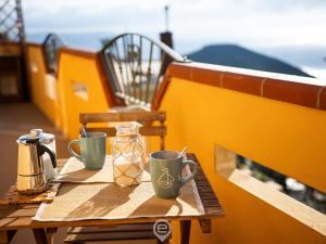 Příroda nedaleko apartmánu + 25 fotografií