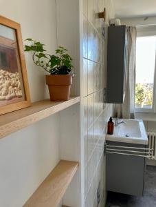 a bathroom with a sink and a potted plant at Gemütliches Haus mit Seeblick in Ermatingen