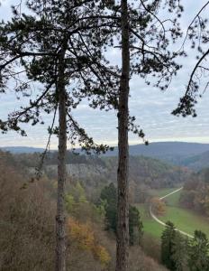 uma vista para uma estrada numa floresta com árvores em Villa du Rond du Roi em Rochefort