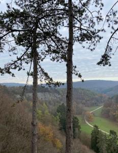 una vista de una carretera en un bosque con árboles en Villa du Rond du Roi, en Rochefort 47 fotos más