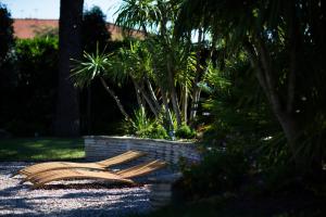 A garden outside Villa Ibi - Camerano, meravigliosa villa con piscina nel parco del Conero