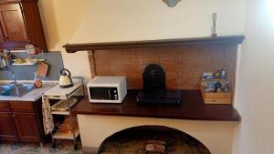 a kitchen with a counter with a microwave and a sink at Dimora del Conte in Pisa