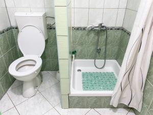 a bathroom with a toilet and a shower at Apartman Robi in Vrsine