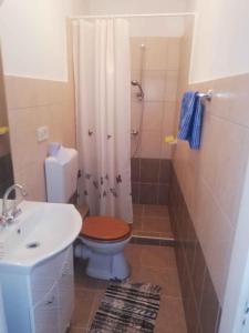 a bathroom with a toilet and a shower and a sink at Holiday home in Keszthely - Balaton 49197 in Keszthely