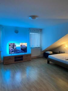 um quarto amplo com uma cama e uma televisão de ecrã plano em 1 Zimmer Apartment in Hildesheim em Hildesheim
