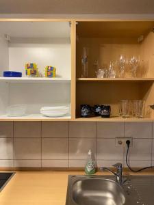 uma cozinha com um lavatório e prateleiras com copos em 1 Zimmer Apartment in Hildesheim em Hildesheim