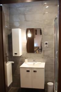 een badkamer met een witte wastafel en een spiegel bij Apartament Integro in Szczecin