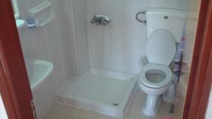 a small bathroom with a toilet and a shower at Creta Vassakis Studios in Kefalos +67 photos