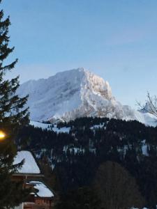 a snow covered mountain in front of a house at La Maison des Coeurs in Lugrin