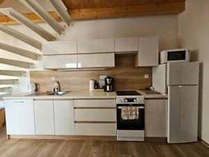 Køkken eller tekøkken på Apartmán MÁJA Mikulov