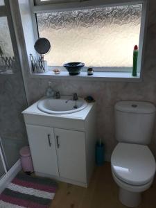 a bathroom with a toilet and a sink and a mirror at LetAway - Tom's Cabin, Staithes in Staithes