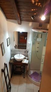 a bathroom with a sink and a shower at Chalet in pietra in Antey-Saint-André