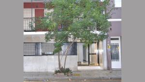 un pequeño árbol frente a un edificio en Tu departamento en Buenos Aires!, en Buenos Aires