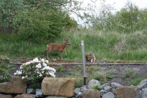 Φωτογραφία από το άλμπουμ του Ferienwohnung Wegmann σε Borkum