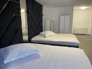 ブシュテニにあるCAMERE de INCHIRIAT LA TUGUIATAのベッド2台(大型ヘッドボード付)が備わる客室です。
