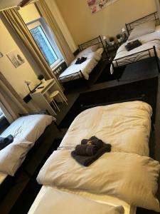 um grupo de camas num quarto em Pott Hostel - Zimmervermietung em Essen