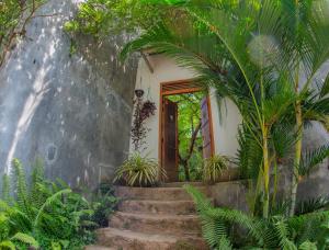 a stairway leading up to a house with plants at Inside Out Nature Villa in Kandy