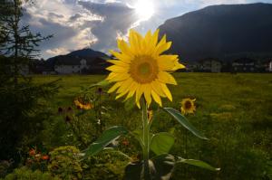 Paesaggio naturale nelle vicinanze del bed & breakfast