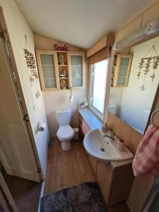 a small bathroom with a toilet and a sink at Sea Shore Chalet - Rockley Park in Lytchett Minster