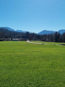 a large green field with a road in the distance at Ferienwohnungen am Alpenrand in Siegsdorf