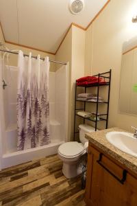 a bathroom with a toilet and a shower and a sink at Mountain View Lodge in Fort Davis