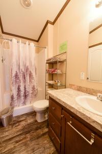 La salle de bains est pourvue de toilettes, d'un lavabo et d'une douche. dans l'établissement Mountain View Lodge, à Fort Davis