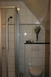 a bathroom with a toilet and a glass shower at Wallfahrtswirt in Wemding