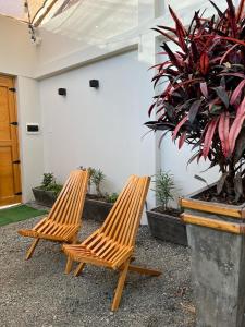 due sedie di legno sedute accanto a una pianta in vaso di Casa Apartament Paseo Del Mar a Chimbote
