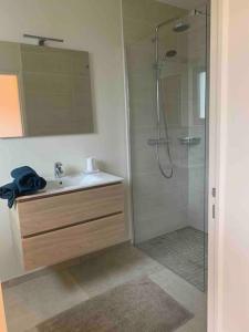 een badkamer met een wastafel en een douche met een spiegel bij Villa proche océan et golf in Anglet