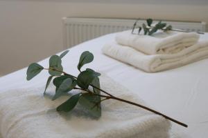 a plant sitting on top of a bed with towels at Modern City Centre Apartment in Exeter