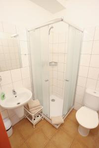 a bathroom with a shower and a toilet and a sink at Penzion Jízdárna Suchá in Litomyšl