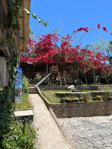 un jardín con flores rojas, mesa y bancos en Paradise Camp en Monte das Gameleiras