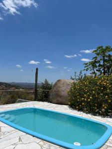 einen kleinen blauen Pool auf einer Terrasse in der Unterkunft Paradise Camp in Monte das Gameleiras
