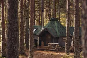 a cabin in the woods with a green roof at Cairngorm Bothies in Aboyne