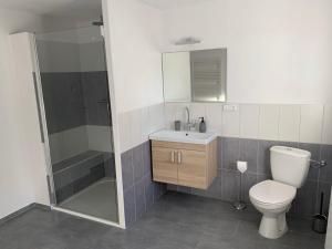 uma casa de banho com um WC, um lavatório e um chuveiro em Apartmán 101 em Fryšava