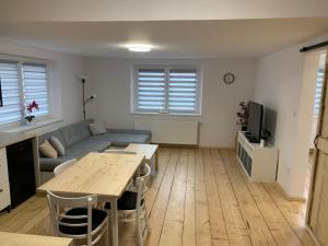 Kuchyň nebo kuchyňský kout v ubytování Apartmán 101 + 8 fotografií