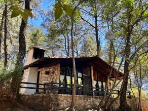 uma cabana de madeira na floresta com árvores em Monteverde em Mazamitla